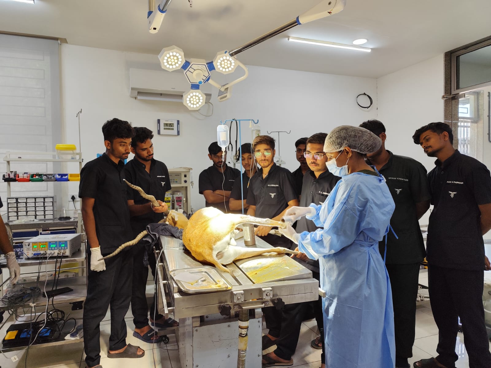 Professional certification course