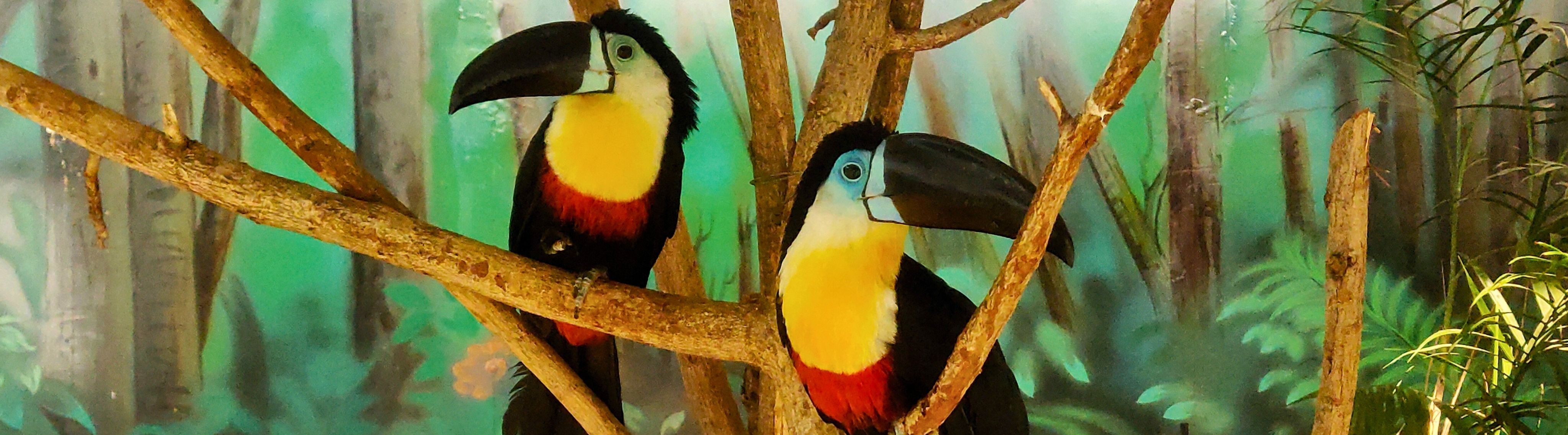 Make the Most of Your Visit